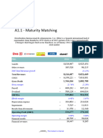 A1.1 Maturity Matching-5