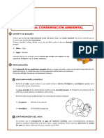 Ficha de Actividad Contaminacion-del-Medio-Ambiente