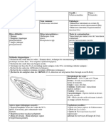 Schistosoma Mansoni