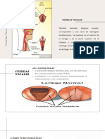 Parálisis C.V