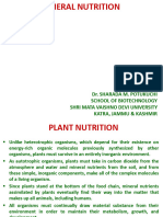 Plant Mineral Nutrition March 2024