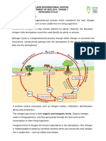 Nitrogen Cycle File Note