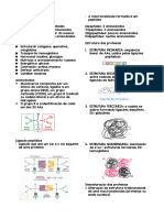 Resumo T1 Biotecnologia PDF