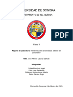 Reporte de Laboratorio "Determinación de Densidad: Método Del Picnómetro