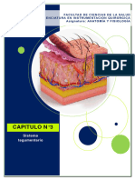 CAPITULO N°3 - Sistema Tegumentario