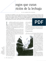 PDF Ferti Ferti 2003 11 28 30