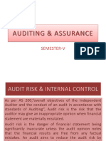 Audit Risk & Internal Control System