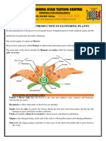 12.2. Sexual Reproduction in Flowering Plants