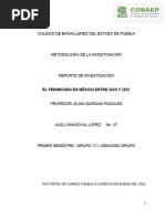 Feminicidio en México