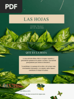 Las Hojas Presentación