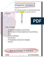 Respiratory System