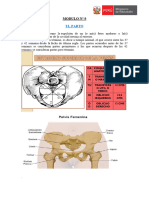 Modulo 9