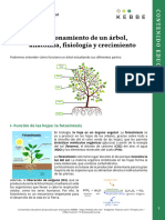 KEBBE B1 - Secondario - 1 Funcionamiento de Un Arbol - ES