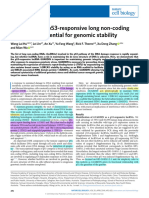 GUARDIN Is A P53-Responsive Long Non-Coding