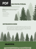 Conservación Ambiental