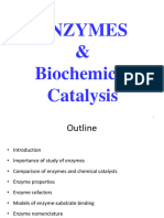 Enzymes - Africa - 2023 - I