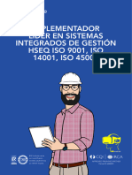 Implementador Lider Hseq