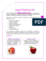 Manual de Buenas Practicas de Manufactura en Frutas y Hortalizas