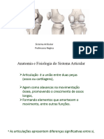 Sistema Articular