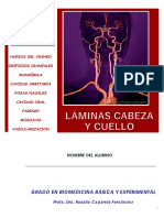 Láminas Cabeza y Cuello