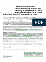 Mesenchymal Stem Cell Secretome Improves Tendon Cell Viability in Vitro and Tendon Bone Healing in Vivo