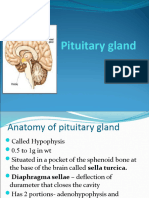 Pituitary Gland