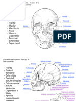 Ilustraciones Examen Final