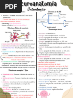 Neuroanatomia