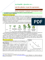 Developpement Plantes