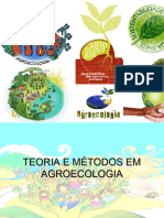 Teoriaemtodosemagroecologia 131205130410 Phpapp02