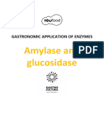 Dossier+Töufood+Amyläse ENG