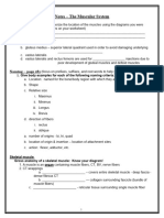 Notes - The Muscular System Part 1