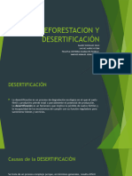 Deforestacion y Desertificación