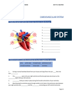 Cardiovascular System Listening File