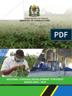 Cassava Development Strategy