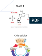 Clase 1 Intensivo Biologia