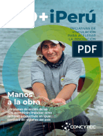 Revista IDiPerú 3 Concytec Digital