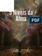 Cinco Níveis Da Alma