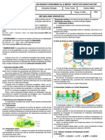 2024 - IBP - 2º ANO - 02. Metabolismo Energético