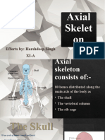 Axial Skeleton