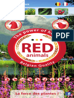 Red Animals Brochure FR BD