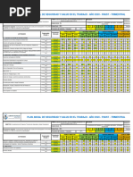 Programa de Seguridad - PASST