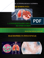 3.1 Enfermedades Del Aparato Respiratorio