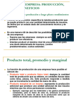 La Empresa Producción Costes y Beneficios