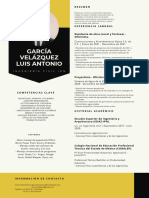 Amarillo y Negro Corporativo Gestión Consultora Comercial Currículum