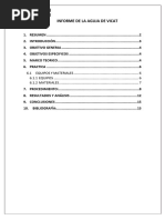 Informe de La Aguja de Vicat