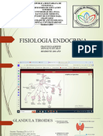 Funcion Endocrina Terminado Final 2