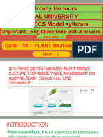 3 Botany Honours