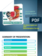 PP16 Receptors The Eye 1460381342