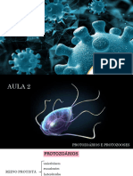 Aula 2 - Protozoários e Protozooses